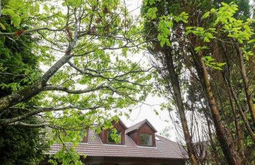 Cooinda Flat - Foto 22