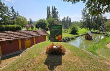 Jungle Sunshine Apartment - Foto 53