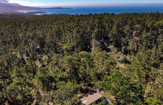 Serene Crest by Avantstay A+ Design Near Beaches - Foto 44