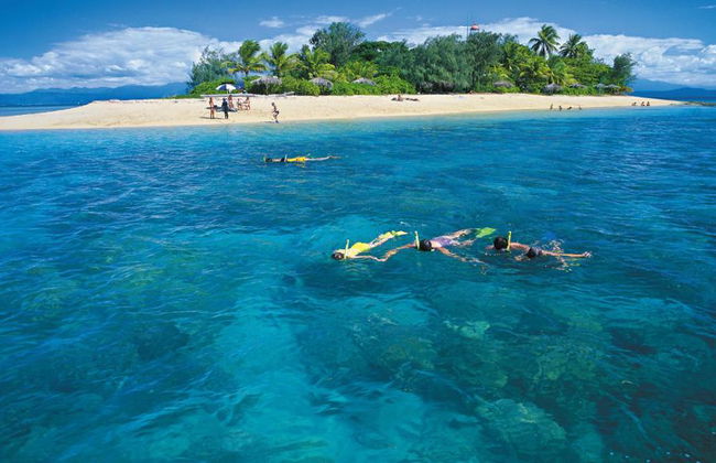 Wavedancer Low Isles Cruise from Port Douglas - Photo 5