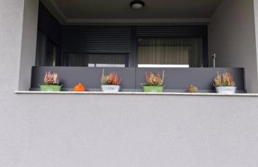 Apartman Manči - Foto 25