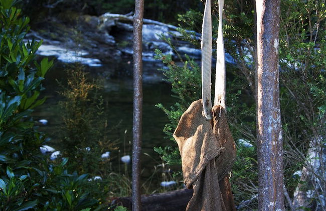 Tyenna River Cottage - Foto 21