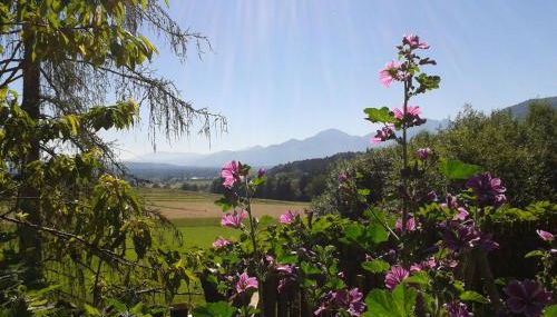 Schusterhof Urlaub auf dem Bauernhof - Foto 3