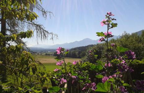 Schusterhof Urlaub auf dem Bauernhof - Foto 3