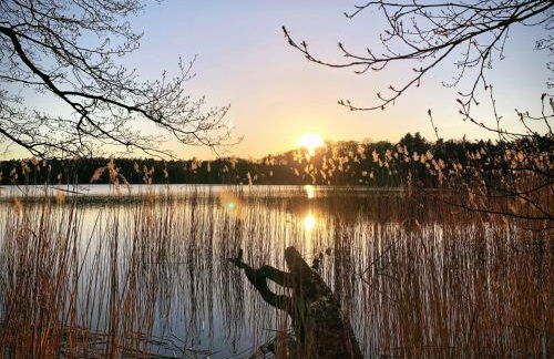 Haus 2 am Grimnitzsee - hochwertiges Design, mit eigenem Garten und nah am See - Foto 19