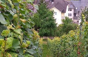 Fachwerk-Romantik 1 an der Mosel - Foto 18