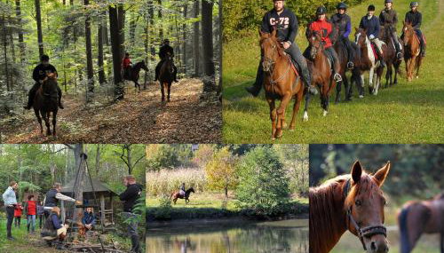 Dwor Trzesniow - Foto 5