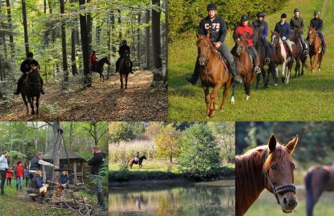 Dwor Trzesniow - Foto 5