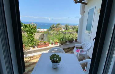 A cas e Rosa - Photo 1