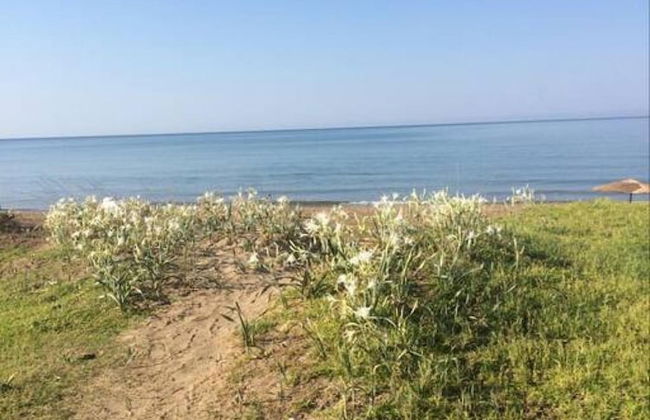 Summer Beach House Spiaggia - Foto 14