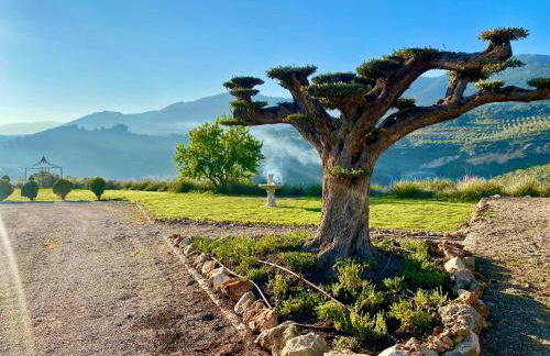 La Esperanza Granada Luxury Hacienda & Private Villa - Foto 26