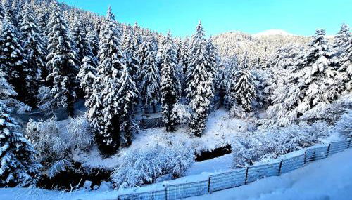 Duplex 4/6p Le Familial - Foto 2