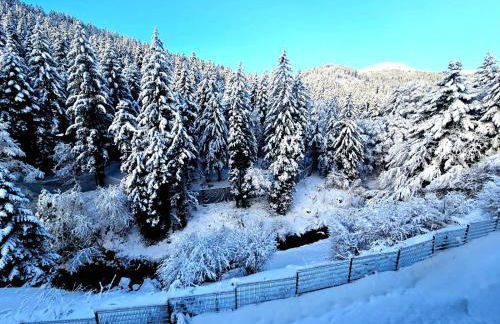 Duplex 4/6p Le Familial - Foto 2