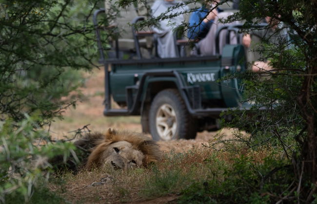 Uplands Homestead - Photo 32