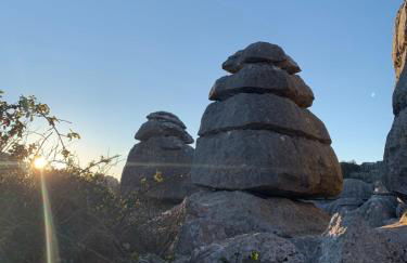 Cortijo el Alcornocal - Foto 59