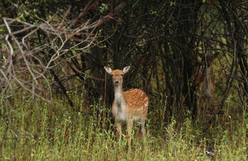 Moslavačka Priča Holiday Homes - Foto 26