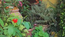 Summer studios 1 - Foto 3