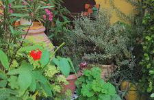 Summer studios 1 - Foto 3