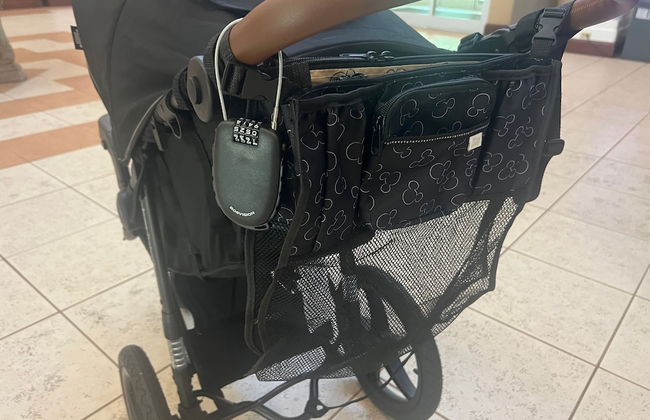 Disney Favorite Free Shuttle - Foto 20