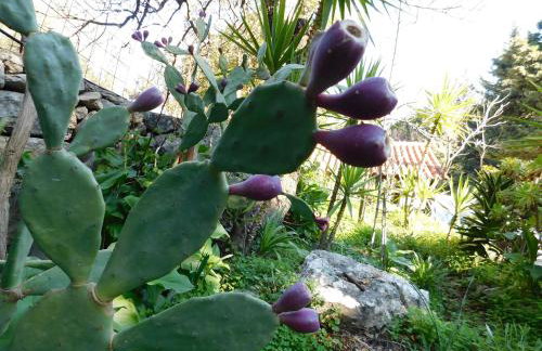 Anna's country villa - Foto 30