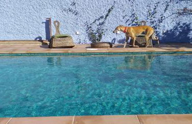 Casa Hilario - Foto 24