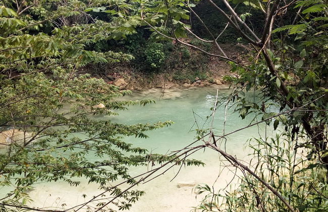 Room in Cabin - Cozy Sierraverde Cabins Cabana la Ceiba - Foto 15