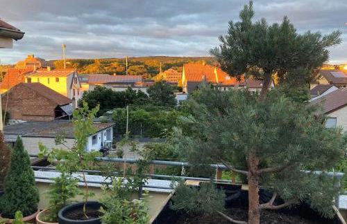 Touch & Stay - Oase mit Stil - Foto 1