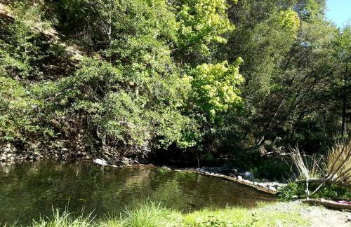 Rustic Caravan Getaway on a Creek in the Klamath National Forest of California - Foto 10