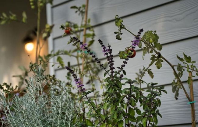 Fordebrise Modern Retreat - Photo 24