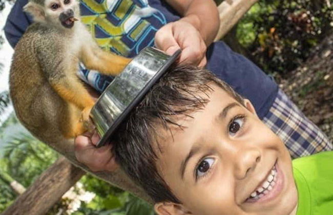 Excursão à Monkeyland - Foto 2