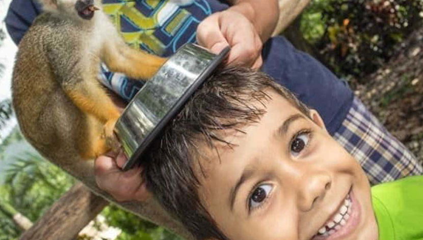 Monkeyland Day Trip - Foto 2