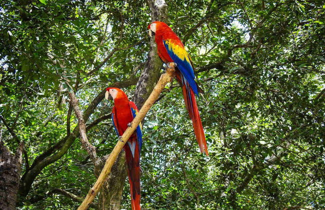 Roatan Hop on Hop Off Bus Tour - Photo 5