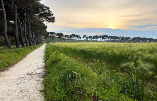 Casa al mare con giardino "Garden House", 2 km spiaggia golfo di Baratti & parco archeologico - Foto 36