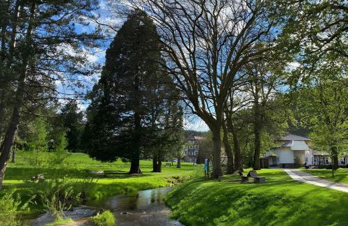 Ferienwohnungen Bauer - Foto 20