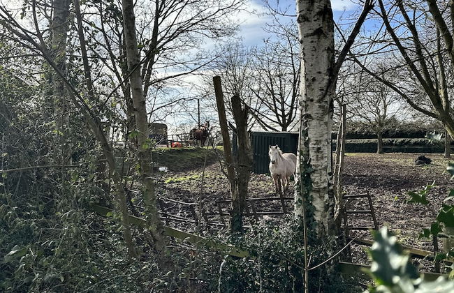 Captivating 1-bed Apartment in Hereford - Foto 38