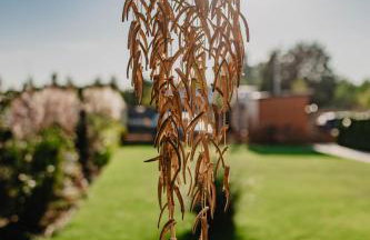 Dwa Brzegi - Foto 24