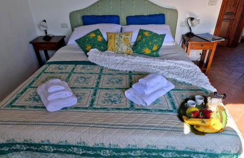 Agriturismo il Pino - Bioagricoltura - Photo 68