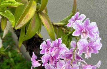 Hospedagem Casa Compacta 02 - Foto 8