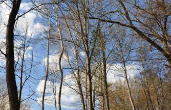 Domki na polance - Foto 55