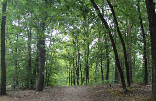 Moderne Wohnung im skandinavischen Stil am Waldrand - Foto 33