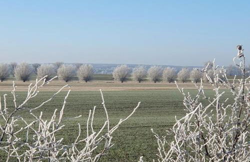 Alte Dorfschule am Elberadweg - Foto 16
