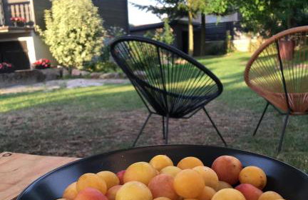 Red Chapel - Foto 46