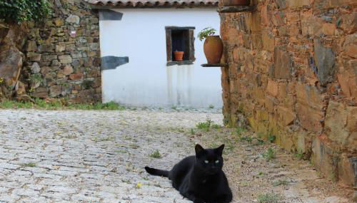 Vilar dos Condes - Foto 3