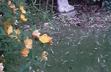 Studio Trocadero 2p coté jardin - Foto 10