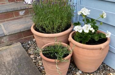 Bramblebee Cottage Salthouse - Photo 19