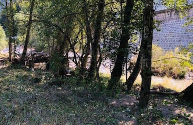 Woodpecker s Chalet in Tem - Foto 10