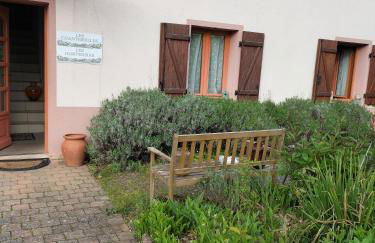 Les Chanterelles La souris des champs - Foto 67