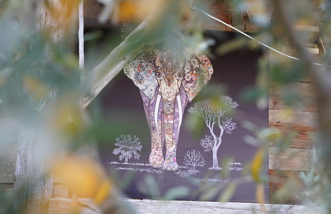 Kadir's Family House - Photo 38