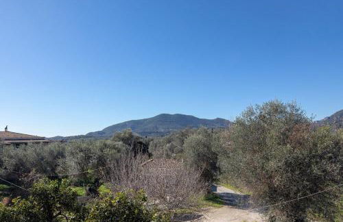 Stamatis House - Foto 31