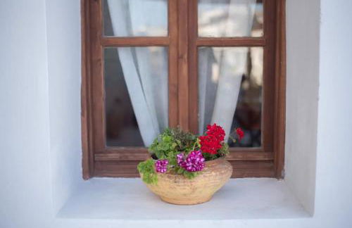 Anastasia's Home - Foto 30